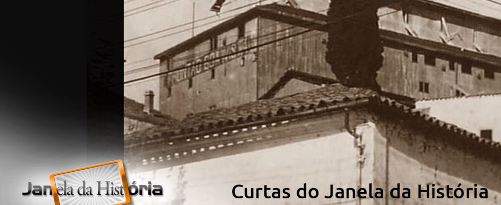 Capa Curtas-05